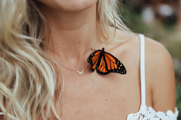 Behind the Scenes: Our Shoot with Monarch Butterflies